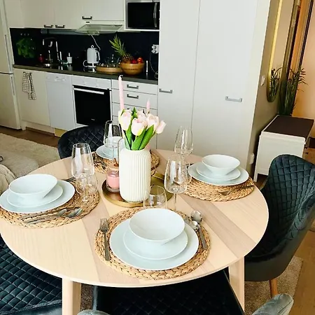 Luxury Of Aristocrats Near Airport And Jumbo Vantaa