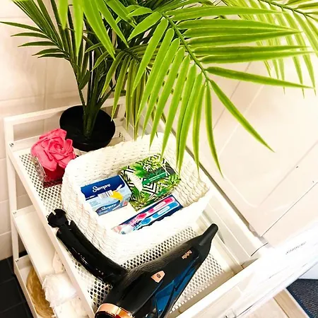 Luxury Of Aristocrats Near Airport And Jumbo